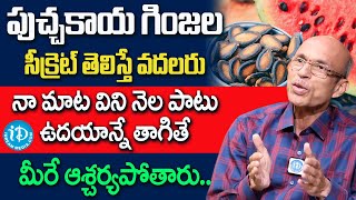 Health Benefits of Watermelon Seeds in Telugu | పుచ్చకాయ గింజలు సీక్రెట్ తెలిస్తే వదలరు | iDream