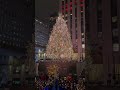 tallest christmastree rockefeller rockefellercenter christmas christmaslights newyork nyc