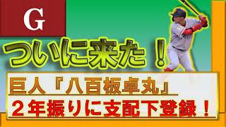 巨人　育成の『八百板卓丸』が支配下登録へ！背番号は『５１』と発表！　紅白戦は7打数4安打と大活躍の外野手で次の目標は開幕1軍だ！！さらに現在の巨人の支配下枠も確認！