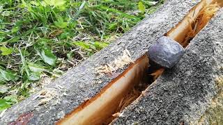 Roztloukání polena, praskání dřeva | Splitting a log with wedge, sounds of cracking wood