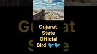 Gujarat State 🐦#malayalam #facts #shorts #education #malayalamfacts #asianetnews #manoramanews