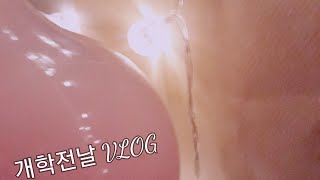 개학전날 VLOG