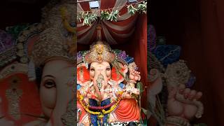 Kurnool ganesh 2k24 #trending #viralvideo #shorts #yt#ganesh #ganeshchaturthi #bappa #festival