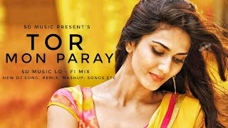 Tor Mon Paray (তোর মন পাড়ায়) || Mahdi Sultan || Bangla LoFi Song || SD Music #sdmusic1m