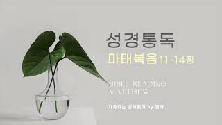 [성경 1독 도전🙏🏻] #4일 |마태복음 11-14장 | 새번역 | 첼라의 치유하는 성서읽기