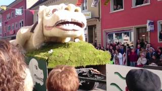 Fasnachtsumzug Zell im Wiesental Rosenmontag 2017 Teil 1