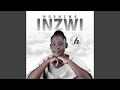 Ndanzwa Inzwi