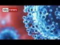 Coronavirus: Volunteers to be deliberately infected with virus