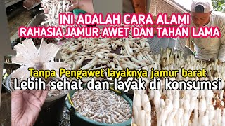 Ini Cara Alami Agar Jamur Awet Dan Tahan Lama Tanpa Pengawet dan Lebih Layak Di Konsumsi