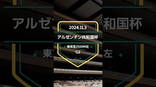 【アルゼンチン共和国杯 2024】上位5頭予想！今後の飛躍に向けて、勝つのはどの馬か！？