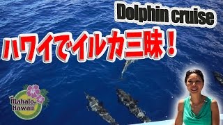 【ハワイ観光スポット】ハワイでドルフィンクルーズ！大量のイルカに出会える！-Star of Honolulu- Dolphin cruise in hawaii[day84]