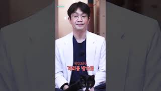 고양이 처음 데려올때 요령