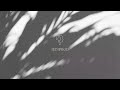 Thirty One, FLYTZ! - Oh No! (Extended Mix)