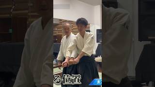 逆半身太刀取り呼吸投げ #合気道 #aikido