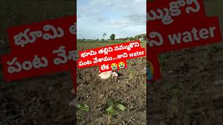 నేల తల్లిని నమ్ముకున్నాడు రైతు.#shorts#former, plz support my channel