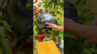 Steelbird SBA-7 #helmet #steelbird #unboxing #amazon #viralvideo #shorts #shortsfeed #youtube #trend