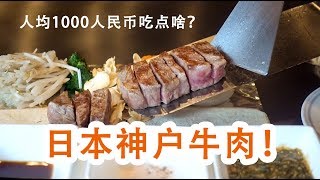 $140 for a meal of Kobe beef ! How can one go to Kobe without eating Kobe beef?