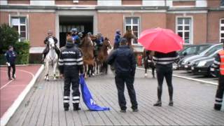 EXTRAIT - La Royale Belge - Equidia Life