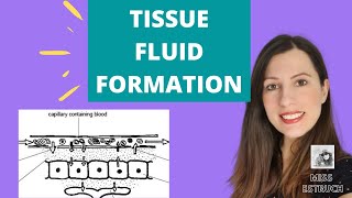 Function and Formation of TISSUE FLUID: A level Biology. How it is formed and reabsorbed