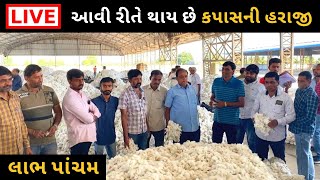 Labhpacham Haraji: કપાસ લાઈવ હરાજી જામજોધપુર | આજના બજાર ભાવ | jamjodhpur aajna bajar bhav | live