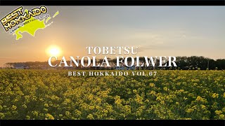 当別町 菜の花畑 4K／北海道の絶景景色 【BESTHOKKAIDO_VOL.67】Superb view of Hokkaido/canola folwer