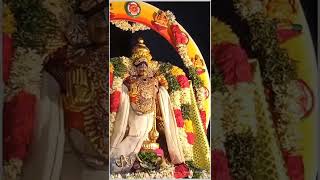 Srinivasa Perumal Vasantha utsavam day 2 Surya Prabhai vahanam #devotional