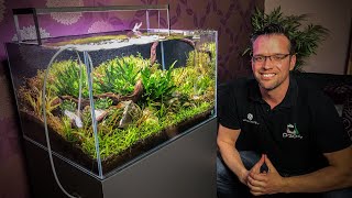 Aquascaping and Planted Tank Q\u0026A