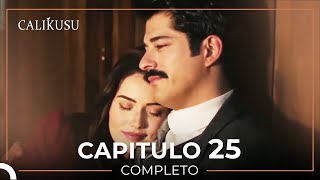 Calikusu 25 Capítulo