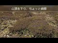 【くじゅう連山：扇ヶ鼻】瀬の本高原から扇ヶ鼻まで、花達を鑑賞に出かけました。（2022 06 03）