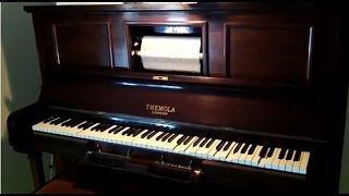1928 Themola London Pianola - I Know An Old Lady Who Swallowed A Fly