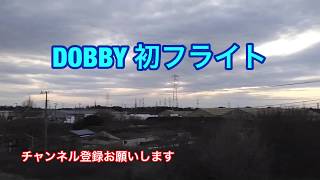 DOBBYドローン空撮 : 守谷市小貝川土手