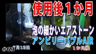 【使用開始後１か月】泡の細かいエアレーションストーンの泡の状態は？【水草水槽・熱帯魚(Planted aquarium/Tropical fish)】#63