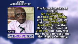 Pedro Peter short