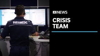 Program aims to ease emergency department pressure with mental health aid | ABC News