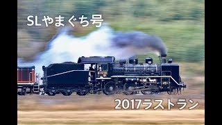 SLやまぐち2017年ラストランC56160 +DD51 +35系