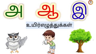 Uyireluthukkal- உயிர் எழுத்துக்கள்  | learn Tamil alphabets | அ to ஃ words in Tamil