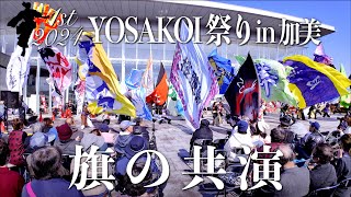 18「旗の共演」 - 1st YOSAKOI祭り in 加美 2024 - 宮城県加美町 2024/11/10