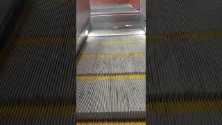 #escalator #shorts #amazing #train #rolltreppe #ruchomeschody #bahnhof #zug #trainstation trainst