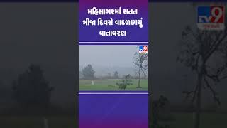 મહ સાગરમાં ক্রমাগত ব্যর্থতা #mahisagar #cloudyweather #tv9gujarati #shorts