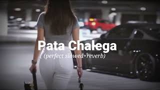 Pata Chalega Slowed reverb  Songs / @slowedreverbmk / Slowed reverb MK Song