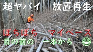 竹林奮闘記２４３　超激ヤバ放置竹林再生　頂上尾根片付け裁断　マイペース