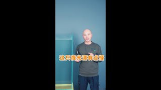 不同长度的漂尾，为什么吃铅会一样呢？