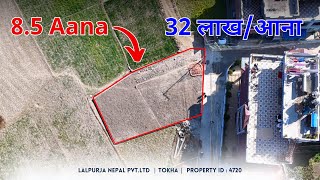 8.5 Aana Land on Sale at Tokha Wada No.2 , Panchetar | ID - 4720 | Lalpurja Nepal |