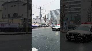 久留米, 福岡県 / Kurume, Fukuoka. #kurume #fukuoka #snowyday #policecar #streetview #久留米 #福岡 #雪 #警察 #パトカー