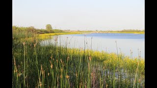 Звуки природы.  Вечернее озеро.  Умиротворение.