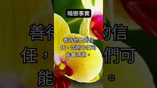 愛的花語 | 暗戀的嬌嫩之心 #愛情語錄 #shorts