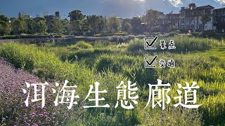 【走遍中国Travel in China】大理的精华是#“洱海生态廊道”|#云南行|大理|shorts|YunNan|DaLi|#大理攻略|生态廊道的最佳景点 #travel #旅行#shorts