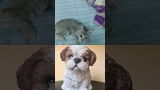 அட போடா நான் இப்பவும் ம்ம் #shortvideo #trending #funnyanimalvideos #comedy #shortsfunny