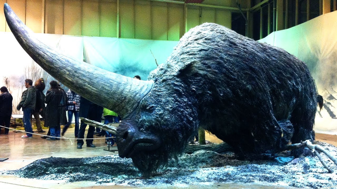 Extinct Animals That Are Back Tourolouco Meet 6 Exquisite Animals