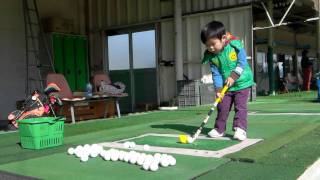 ジュニア ゴルファー　junior  golfer 3years old　ゴルフ　キッズ